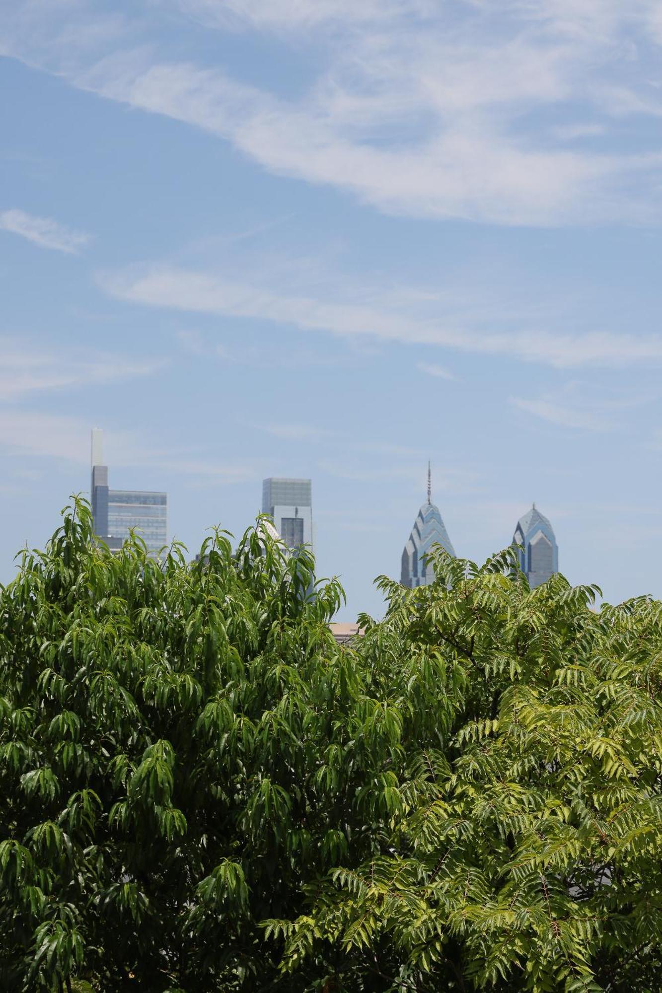 Peaceful Zen Getaway In The City Philadelphia Kültér fotó